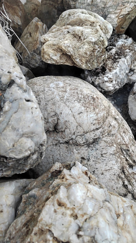 Kamenclub.ru: Кварцевый валунчик фр.100-300 мм.  купить в Санкт-Петербурге кварц белый, бежевый молочный рыжий крупный природный камень галечник 7850 руб/т   фото КАМЕНЬ КЛУБ