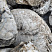 Kamenclub.ru: Кварцевый валунчик фр.100-300 мм.  купить в Санкт-Петербурге кварц белый, бежевый молочный рыжий крупный природный камень галечник 7850 руб/т   фото КАМЕНЬ КЛУБ