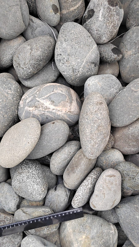 Kamenclub.ru: Галька речная окат (темно-серая) фр. 70-150 мм. купить  в Санкт-Петербурге галька речная темно-серая, синяя, серая речная галька округлая  8000 руб/т   фото КАМЕНЬ КЛУБ