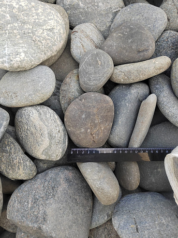 Kamenclub.ru: Галька речная плоская (ассорти) фр. 70-150 мм. купить  в Санкт-Петербурге галька галечник серый белый темно-серый синий светло-серый плоская природная галька  9000 руб/т   фото КАМЕНЬ КЛУБ