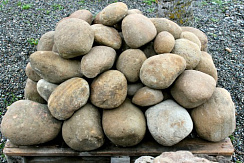Kamenclub.ru: Песчаник ядра, фр. 100-300 мм  купить в Санкт-Петербурге песчаник бежевый серый рыжий речная галька 5 000 руб/т   фото КАМЕНЬ КЛУБ