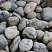 Kamenclub.ru: Речной валун (Ассорти) фр.100-300 мм.  купить в Санкт-Петербурге галечник серый, темно-серый, светло-серый речная галька крупных размеров 4200 руб/т   фото КАМЕНЬ КЛУБ