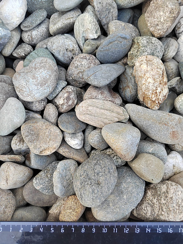 Kamenclub.ru: Галька речная окат (серая) фр.40-60 мм купить  в Санкт-Петербурге галька речная серый бежевый рыжий коричневый округлый речной камень 5000 руб/т   фото КАМЕНЬ КЛУБ
