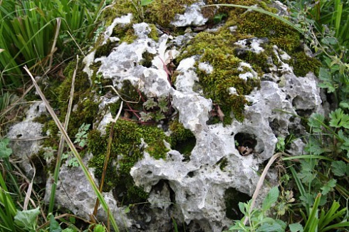 Kamenclub.ru: Выветренный известняк со мхом фр. 100-500 мм.  купить в Санкт-Петербурге известняк серый белый зеленый валун известняковый крупный 10000 руб/т   фото КАМЕНЬ КЛУБ