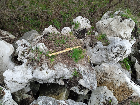 Kamenclub.ru: Выветренный известняк (степной) фр. 500-1500 мм.  купить в Санкт-Петербурге    10000 руб/т   фото КАМЕНЬ КЛУБ