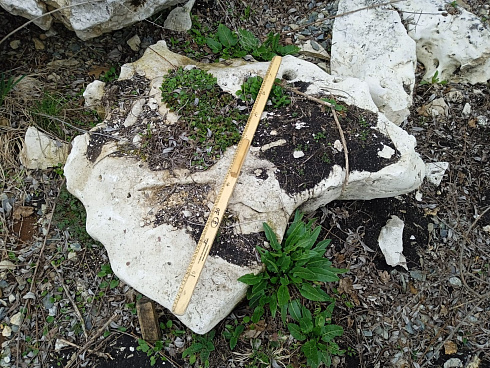 Kamenclub.ru: Выветренный известняк (степной) фр. 500-1500 мм.  купить в Санкт-Петербурге    10000 руб/т   фото КАМЕНЬ КЛУБ