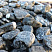 Kamenclub.ru: Щебень галтованный черный (мрамор) фр.20-40 мм.  купить в Санкт-Петербурге мрамор черный с белыми прожилками мрамор окатанный округлый 15000 руб/т   фото КАМЕНЬ КЛУБ