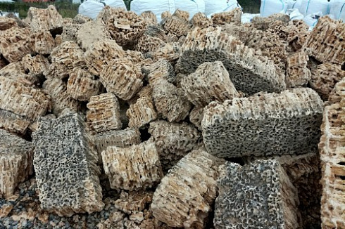 Kamenclub.ru: Крымский природный меотис фр. 100-500 мм.  купить в Санкт-Петербурге меотис бежевый рыжий молочный желтый ракушечник 4 500 руб/т   фото КАМЕНЬ КЛУБ