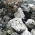 Kamenclub.ru: Черный гранит - кварцит фр. 100-500 мм.  купить в Санкт-Петербурге мрамор гранит черный с белыми прожилками, серый, белый валун скальный колотый 7000 руб/т   фото КАМЕНЬ КЛУБ