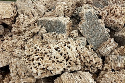 Kamenclub.ru: Крымский природный меотис фр. 100-500 мм.  купить в Санкт-Петербурге меотис бежевый рыжий молочный желтый ракушечник 4 500 руб/т   фото КАМЕНЬ КЛУБ