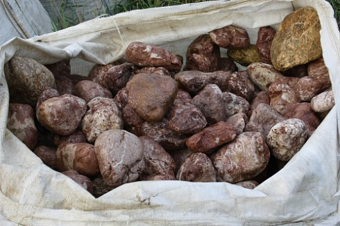 Kamenclub.ru: Розовый валунчик фр.100-300 мм.  купить в Санкт-Петербурге крупный природный камень розовый, серый молочный красный речной галечник природный 7850 руб/т   фото КАМЕНЬ КЛУБ