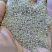 Кварцевый песок для площадок фр. 0,3 - 1 мм.  купить в Санкт-Петербурге фото Камень Клуб