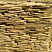 Kamenclub.ru: Песчаник пластушка желтый с разводом под дерево (2 см)  купить в Санкт-Петербурге плитняк желтый с разводами, желтый, рыжий, серый песчаник пластушка рваная ландшафтная 11 000 руб/м3   фото КАМЕНЬ КЛУБ