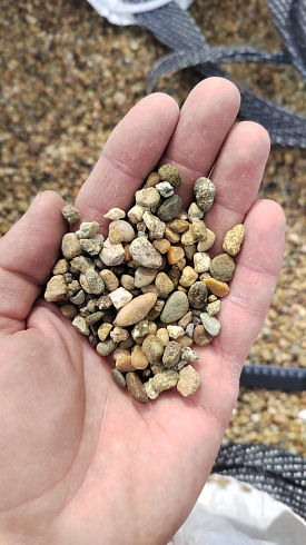 Kamenclub.ru: Галька окат (серо-желтая) фр.5-10 мм. купить  в Санкт-Петербурге галька речная рыжий, желтый, рыжий, серо-желтый речная окатанная галька декоративная 5000 руб/т   фото КАМЕНЬ КЛУБ